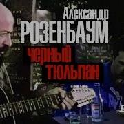Черные Тюльпаны