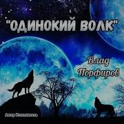 Снова Ночь Настала И Снова Волк Один