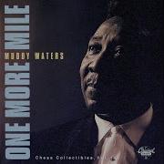 Five Long Years Muddy Waters