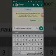 Переписка С Фейком Милана
