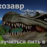 Не Умеете Пить В Меру