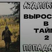 Аудиокнига Попаданцы Выросший В Тайге Книга 2 Часть 2