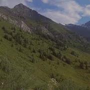 Замир Арыкбаев Кара Шоро