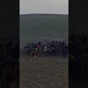 Бузкаши Шурча Сирожиддин Чавондоз