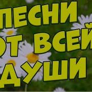 Заходи И Слушай Здесь Самые Красивые Песни