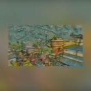 Божественная Система Духа Ван Пис