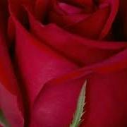 Ма Ки Мерам Кучатон Очат Чангум Мекуна Бехтарин Клипи Точики 2019