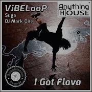 Suga I Got Flava Radio Edit