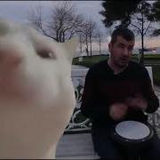 Кот Флексит Под Финскую Польку 10 Часов