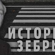 Черно Белые Полоски Пешеходный Переход