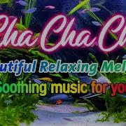 Cha Cha Cha Music