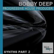 Bd Synth 023 F 128 Bpm Bobby Deep