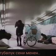 Ак Суйуум Туболук Сени Менен