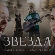 Фадеев Звезда