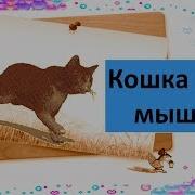 На Прогулку Вышла Кошка