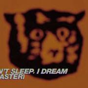 I Don T Sleep I Dream