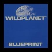 Wild Planet Electron