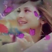 Heart Touching Status Rishta Dilon Ka Tode Na Toote Jaanwar Songs