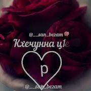 Хьо Виц Вина Лелар Яц