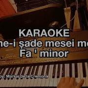 Bine I Sade Mesei Mele Karaoke