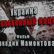 Фильмы Аркадия Мамонтова