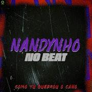 Como Tu Quebrou O Cano Nandynho No Beat Topic