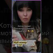 Привет Давай Познакомимся