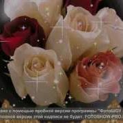 Сыймык Бейшекеев Кыргызымдын Кыздары