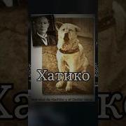 Из Фильма Хатико