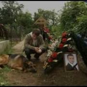 Сериал Пес 1 Сезон 1 Серия