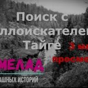 Аудиокниги Про Поиск С Металлоискателем