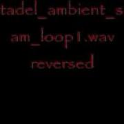 Citadel Scream Loop 1