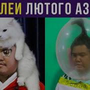 Алексей Сова Косплей
