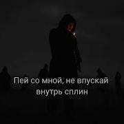 Масло Черного Тмина Аппарат Президента 2 Минус