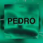 Pedro Zak Connor Hardstyle Remix