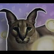 Хорошие Пельмени Slowed