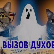 Котики В Школе Вызовы Духов