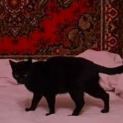 Ебать Тетки С Голыми Писями Фото