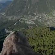 鹰翟山鹰翟山鹰鹰