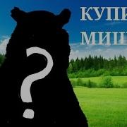 Мы Купили Мишку