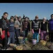 Картошка Пионерская Песня