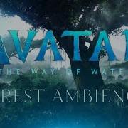 Avatar The Way Of Water Forest Ambient Soundscape