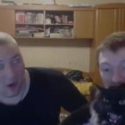 У Vjlink Встал На Кошку