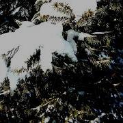 Песня Полковник С Каменным Лицом