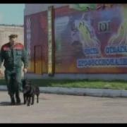 Кинологическая Служба