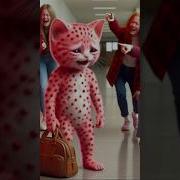 Единорожка Кошка Мяу Мяу Мяу Мяу