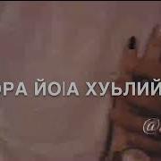 Мадина Юсупова К1Ента Дог Ма Дохийла