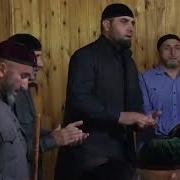 Дала Геч Дойла