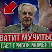 Здоровье И Долголетие
