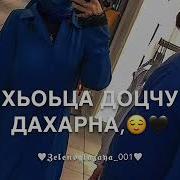 Жимчу Дагна Веза Хьо